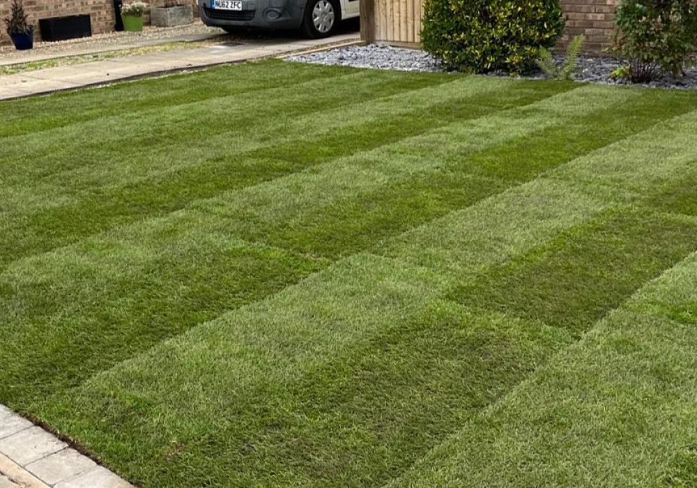 Turf-1 Turf-1